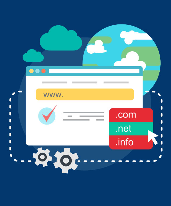 Domain Name Management Service