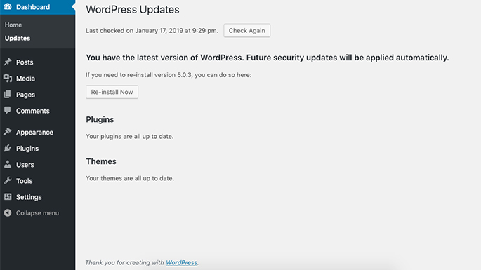 WordPress Website Development Expert in India